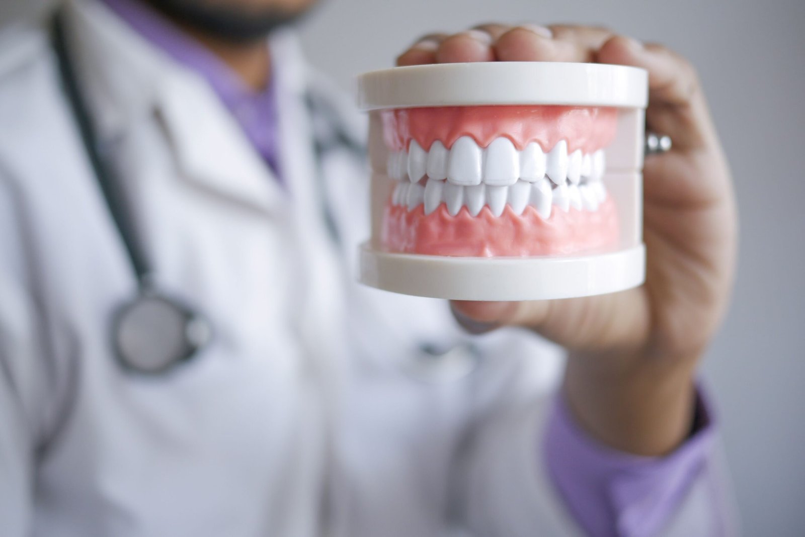 Dental model used to explain healthy teeth, gums and preventive care